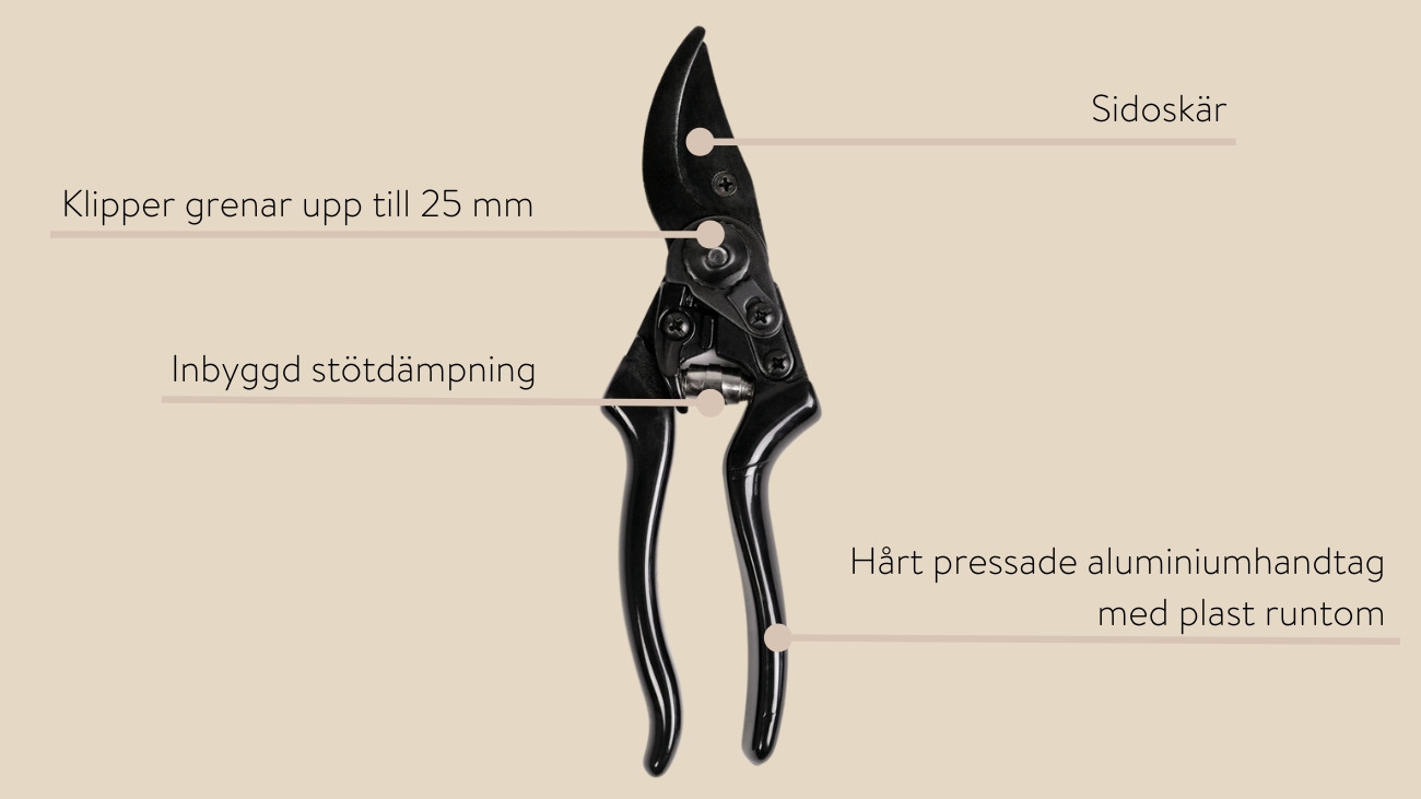 Brush and Dustpan Set